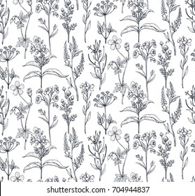 Vector seamless pattern with hand drawn herbs and flowers on white background