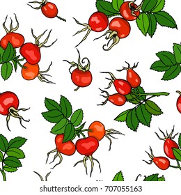 Vector seamless pattern with hand drawn dog rose twigs. Beautiful dog rose products design elements, ink drawing.
