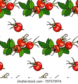 Vector seamless pattern with hand drawn dog rose twigs. Beautiful dog rose products design elements, ink drawing.