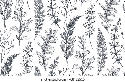 Vector seamless pattern with hand drawn herbs and flowers on white background