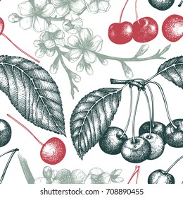 Vector seamless pattern with hand drawn cherry tree. Hand drawn illustration. Engraved fruit background. Vintage design. 