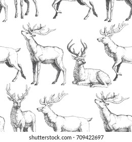 Vector seamless pattern with hand drawn forest deers. Background with wild animals in sketch style. Black and white texture