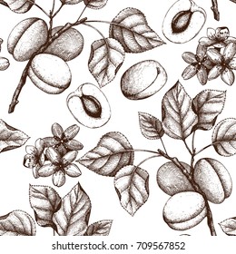 Vector seamless pattern with hand drawn apricot tree. Hand drawn illustration. Engraved fruit background. Vintage design.