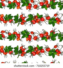 Vector seamless pattern with hand drawn dog rose twigs. Beautiful dog rose products design elements, ink drawing.