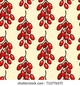 Vector seamless pattern with hand drawn barberry twigs. Beautiful floral design elements, ink drawing