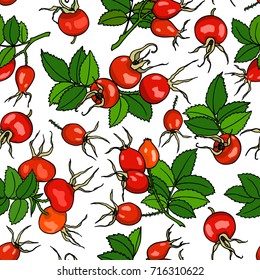 Vector seamless pattern with hand drawn dog rose twigs. Beautiful dog rose products design elements, ink drawing.