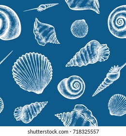 Vector seamless pattern with hand drawn seashells.  Marine background in engraved style. Hand drawn underwater vector illustration with seashells.