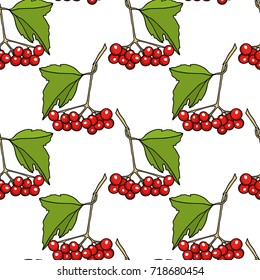 Vector seamless pattern with hand drawn viburnum twigs. Beautiful food design elements, ink drawing