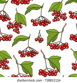 Vector seamless pattern with hand drawn viburnum twigs. Beautiful food design elements, ink drawing