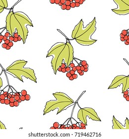 Vector seamless pattern with hand drawn viburnum twigs. Beautiful food design elements, ink drawing
