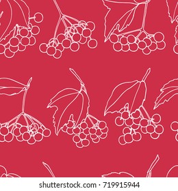 Vector seamless pattern with hand drawn viburnum twigs. Beautiful food design elements, ink drawing