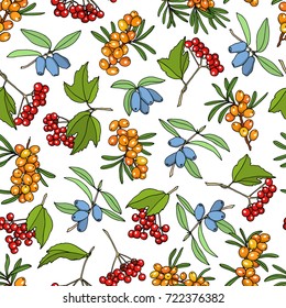 Vector seamless pattern and hand drawn viburnum   honeysuckle twigs  Beautiful food design elements  ink drawing