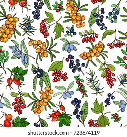 Vector seamless pattern and hand drawn wild berries twigs  Beautiful food design elements  ink drawing