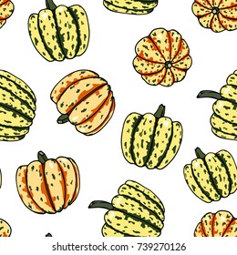 Vector seamless pattern with  hand drawn carnival squash. Ink drawing, beautiful vegetarian design elements.