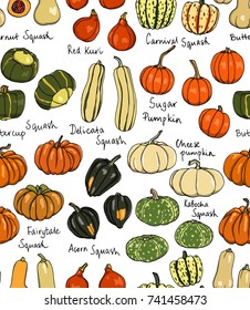 Vector seamless pattern with  hand drawn pumpkins. Ink drawing, beautiful vegetarian design elements.