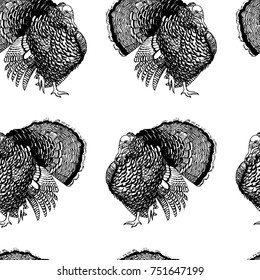 Vector seamless pattern with hand drawn male turkey. Beautiful Thanksgiving design elements, ink drawing