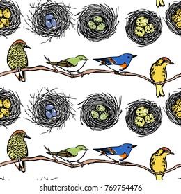 Vector seamless pattern with hand drawn birds and nests. Ink drawing, graphic style.