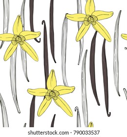 Vector seamless pattern with hand drawn vanilla. The pods and flowers. 