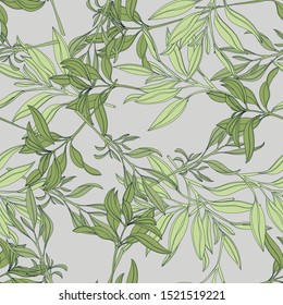 Vector seamless pattern with hand painted watercolor sage branches. Beautiful design elements.