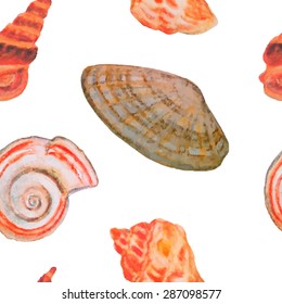  Vector seamless pattern with hand painted watercolor seashells on white background. Beautiful design elements.