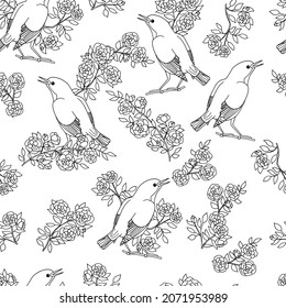 Vector seamless pattern with hand-drawn birds and flowering branches, coloring page for children and adults