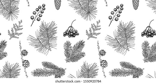 
Vector seamless pattern. Hand-drawn black and white plants. Branches and cones of pine, spruce, larch, rowan berries, juniper. Christmas vintage background. EPS 10