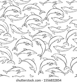 Vector seamless pattern with hand-drawn dolphins. 