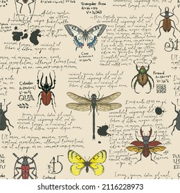 Patrón vectorial sin fisuras con el texto escrito a mano Lorem Ipsum y varios insectos. Mariposas coloreadas a mano, escarabajos, libélula sobre un fondo de papel antiguo. Papel de escritorio, papel de embalaje o diseño de tela