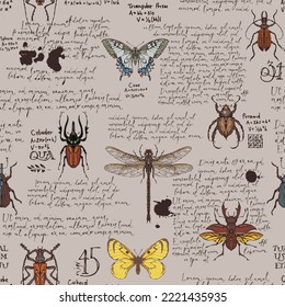 Patrón vectorial sin fisuras con el texto escrito a mano Lorem Ipsum y varios insectos. Mariposas dibujadas a mano, escarabajos, libélula sobre un viejo fondo de papel. Papel de escritorio, papel de embalaje o diseño de tela