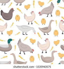 Vector seamless pattern with hens, chickens, ducks and geese. Poultry farm. Domestic bird.