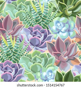 Vector seamless pattern with high detail succulent