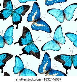 Vector seamless pattern with high detailed vivid butterflies