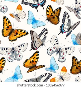 Vector seamless pattern with high detailed vivid butterflies