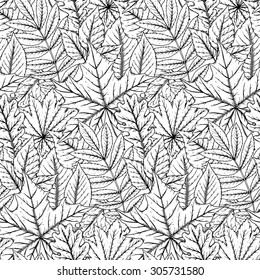 Vector seamless pattern with highly detailed hand drawn leaves.
