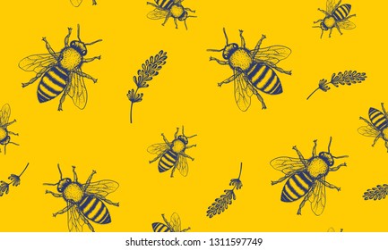 Vector Seamless Pattern with Honey Bee and Lavender