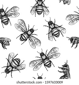 Vector seamless pattern with honey bee. Engraving style. Hand drawn isolated insect sketch. 