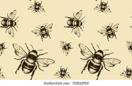 Vector seamless pattern with honey bee. Engraving style.