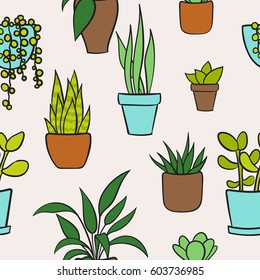 House Plants Succulents Cactus Strelitzia Aloe Stock Vector (Royalty ...