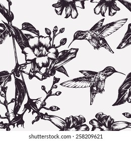 Vector seamless pattern with hummingbird and tropical flowers. Floral background. Hand-drawn picture. Graphic design