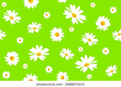 Vector seamless pattern illusration white daisy flowers on a green background. Hand drawn fabric, gift wrap, wall art design. EPS10