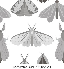 Vector seamless pattern illustration of a variety of insects (butterflies, moths, flies) isolated on white background.