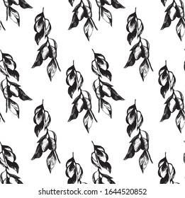 Vector seamless pattern ink dark plum on a branch with leaves.hand-drawn in realistic style on isolated white background.Botanical fruit. Use for textiles, weddings, packaging design, juices, sauces. 