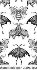 Vector seamless pattern with ink drawing bee and moth with boho decoration. Entomology fabric swatch on white background. Monochrome texture with night butterfly and bumblebee with tracery ornament. 