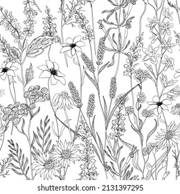 Vector seamless pattern with ink hand drawn herbs illustration in retro color. Vintage background with herbs flowers sketch