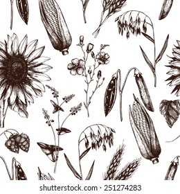 Vector seamless pattern with ink hand drawn agriculture plants sketch  isolated on white background. Eco food and plants. Vintage illustration