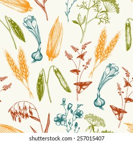 Vector seamless pattern with ink hand drawn agriculture plants sketch. Vintage oats illustration