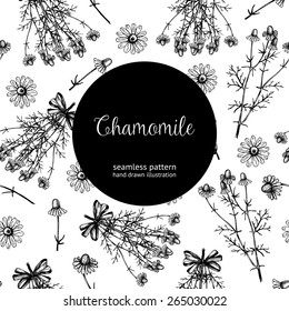 Vector seamless pattern with ink hand drawn camomile illustration. Vintage background with chamomile flowers sketch isolated on white