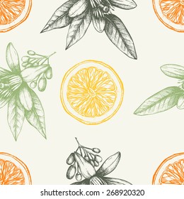 Vector seamless pattern with ink hand drawn orange fruit, flowers and leaves sketch.  Vintage citrus background in pastel colors