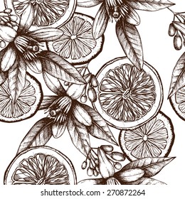 Vector seamless pattern with ink hand drawn orange fruit, flowers and leaves sketch. Vintage citrus background isolated on white