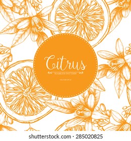 Vector seamless pattern with ink hand drawn orange fruit, flowers and leaves sketch. Vintage citrus background isolated on white